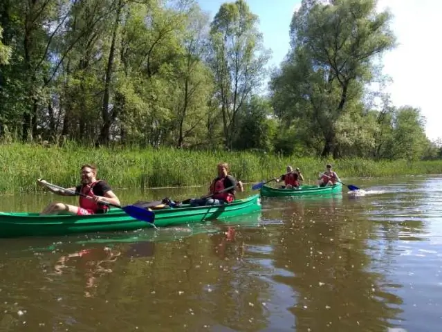 Сколько стоит поездка на лодке в Вудлендс, штат Техас?