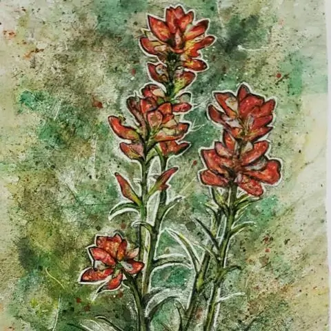 Сможете ли вы выбрать индийские кисти в Техасе?