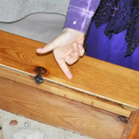 Чем прикалываешь ослу за хвост?