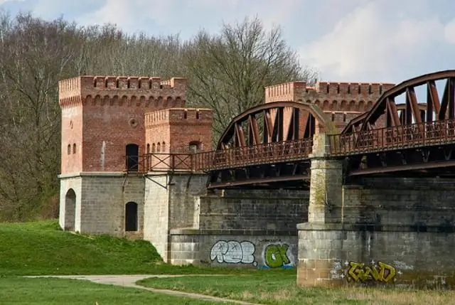 Откуда Пея Стоякович?