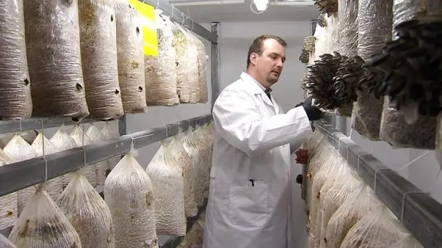 Насколько полна ваша теория ведра?