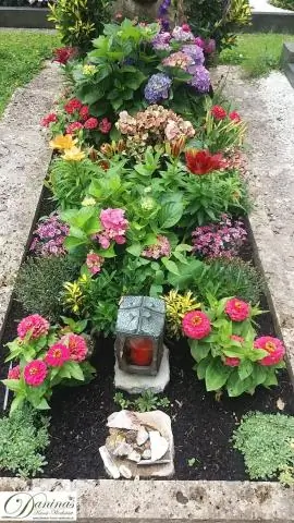 Какие цветы требуют обрезки?