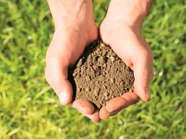 Песчаная почва кислая или щелочная?