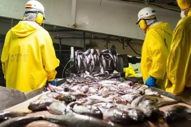 Как можно применить устойчивое управление уловом к рыболовству?