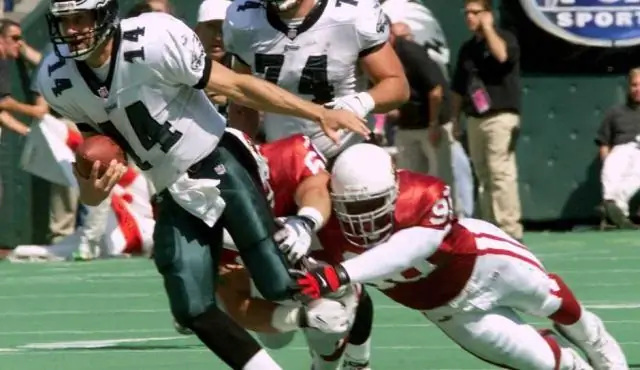 У команды НФЛ когда-либо было два 1000-ярдового рашера?