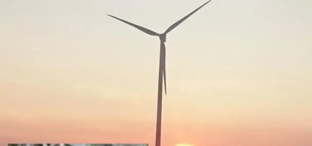 Арахисовое масло привлекает летучих мышей?