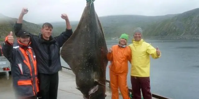 Какой самый большой кит из когда-либо пойманных?