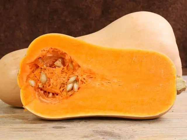 Как лучше всего выращивать мускатную тыкву?