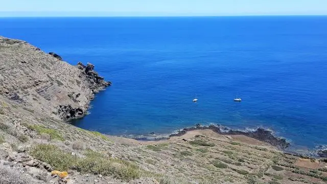 Какие доски для дартса бывают в барах?