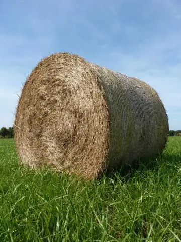 Как долго вы сможете хранить тюк сена?