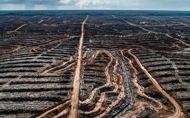 Что такое потребители и производители деструкторов?