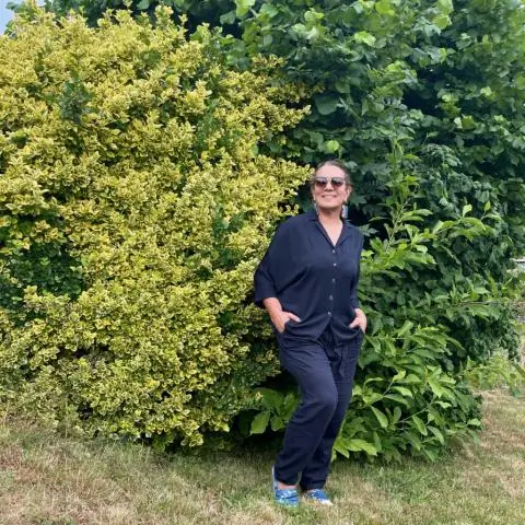 Почему спорт стал популярным в 1950-е годы?