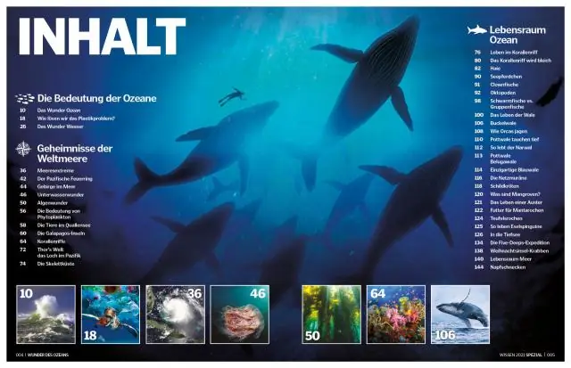 Почему нарвалы живут в холодной воде?