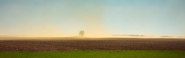 Пыльная чаша кого-нибудь убила?