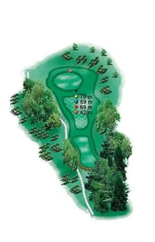 Можно ли сделать лунку на пар 5?