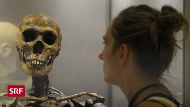 Когда вымерли преступники?