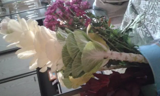 Что такое зернистость пули?