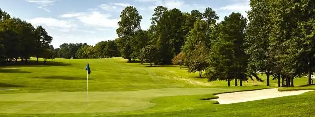 Что такое 1 гольф-клуб?