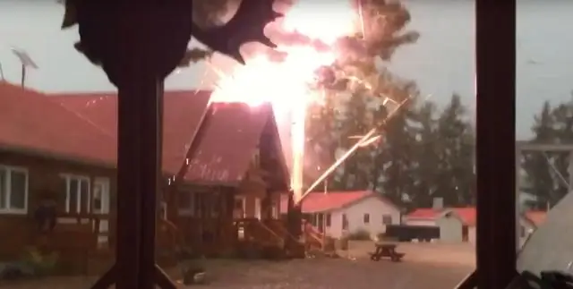 Может ли дерево пережить удар молнии?