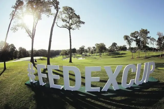 Что изучал Джордан Спит в колледже?