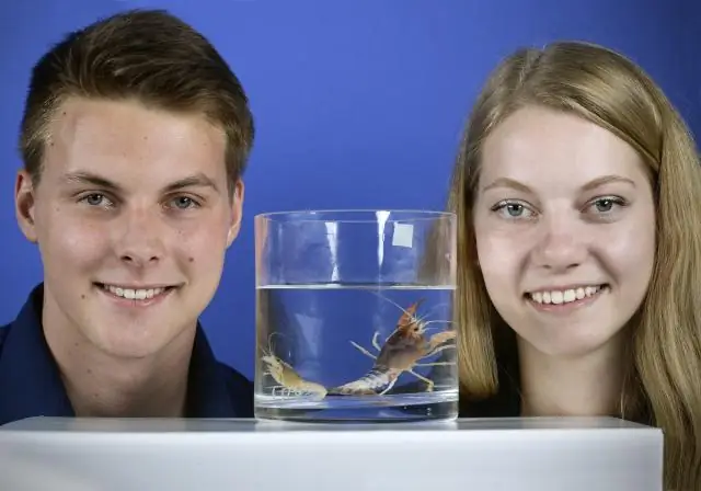 Азот - биотический или абиотический?