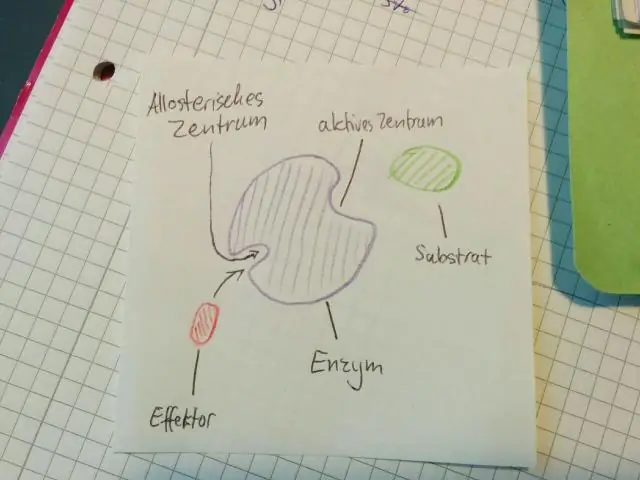 Что связывается с аллостерическим сайтом?