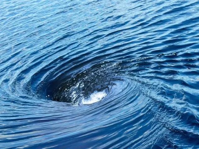 Что такое шланг обратной промывки для бассейна?