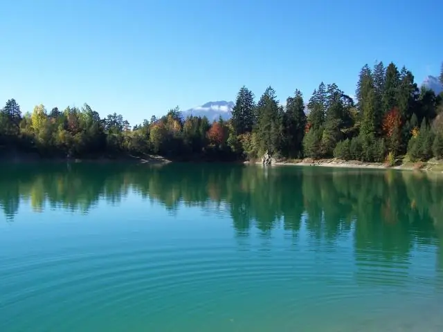 Кому нужна безопасность лодочников в Мичигане?