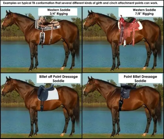 Как научить лошадь делать пас по земле?