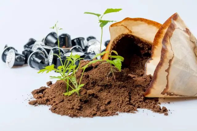 Что можно использовать как одеяло от глистов?