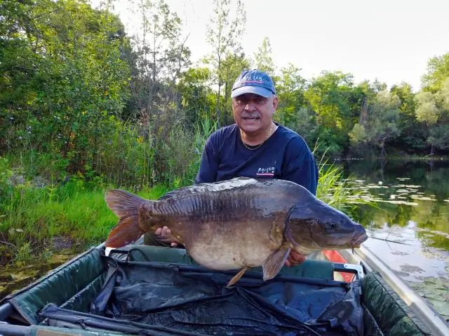 Что вы используете для ловли карпа?