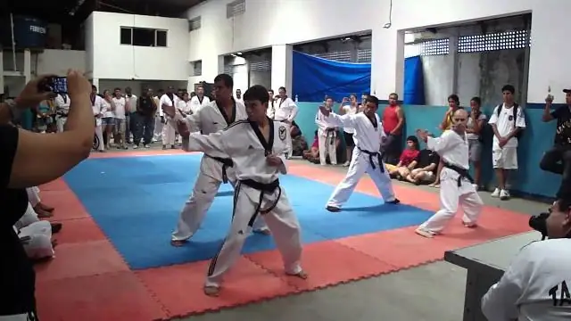 Что означает корё пумсэ?