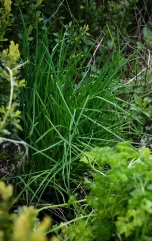 Как быстро высушить гидрокостюм?