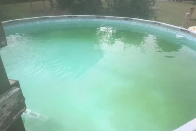Можно ли плавать в зеленом бассейне?