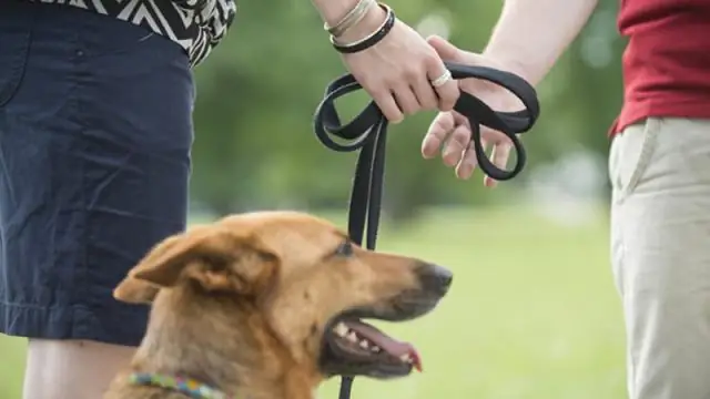 Может ли 14-летний ребенок быть няней?