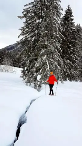 На каком горнолыжном курорте в США больше всего снега?