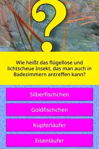 Как называется игра в угадайку?