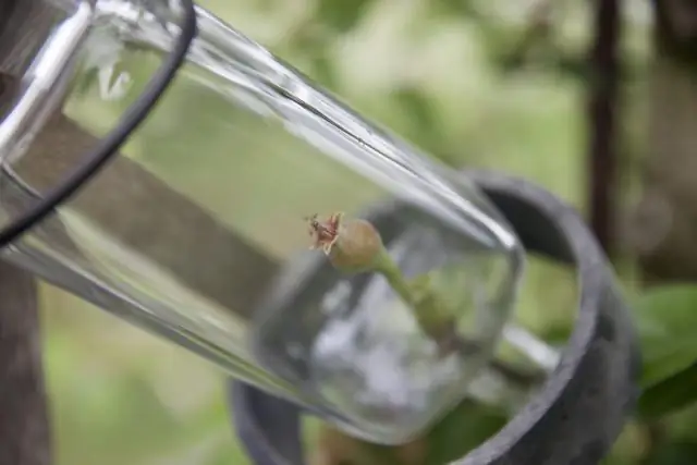 Как возникают депрессивные состояния?