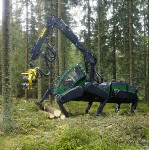 Что такое весельная лодка?