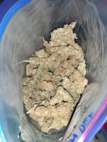 Сколько лет Мэтту Уильямсу?