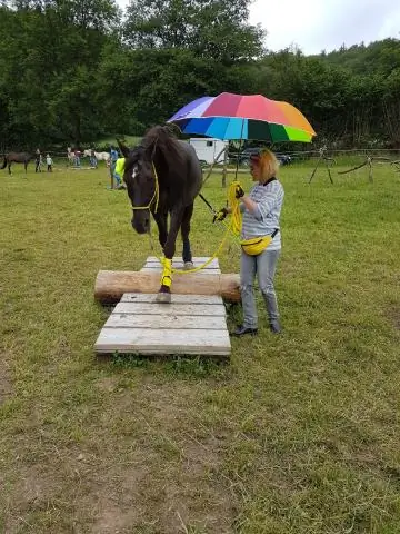 Что нужно лошади для укрытия?