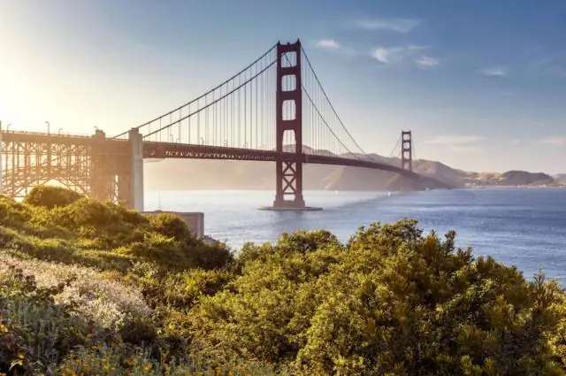 Где я могу увидеть акул в Сан-Франциско?