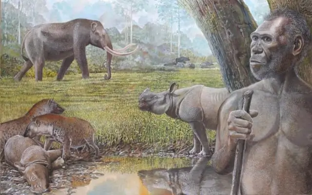 Что вызвало вымирание плейстоцена?