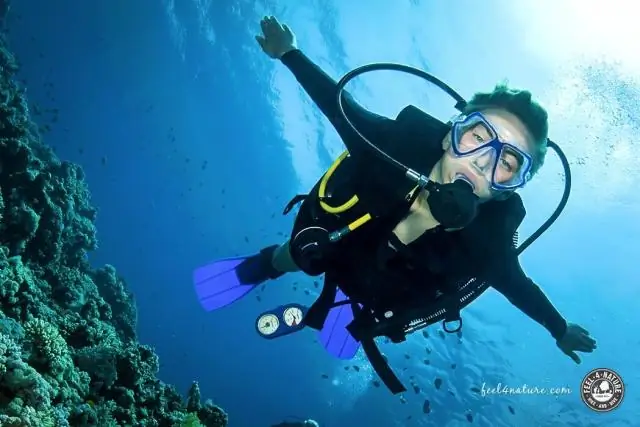 Какая хорошая ставка для дайвинга?