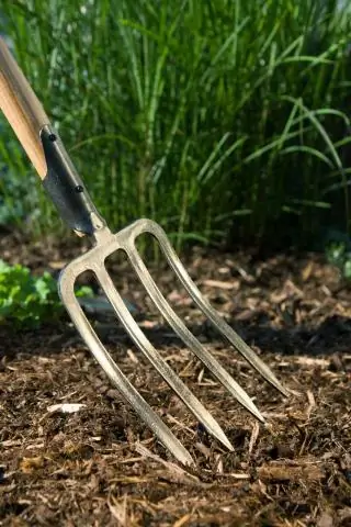 Что такое лопаточная вилка?