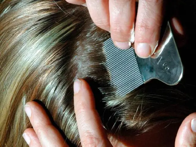 Что такое флоу в хоккее?