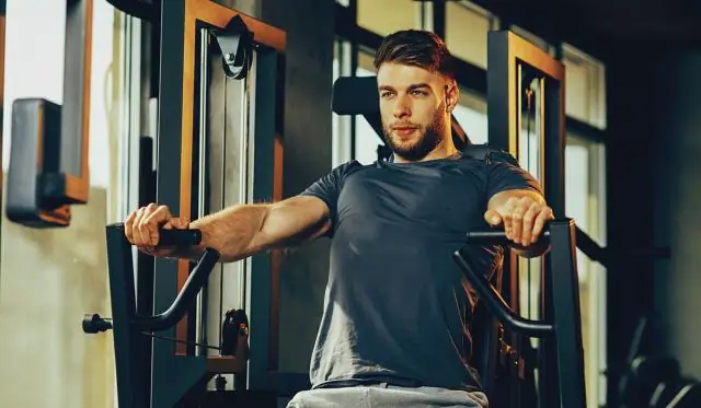 Какая часть трицепса работает в отжиманиях?