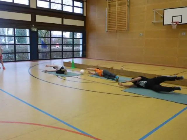 Кто самый быстрый питчер в софтболе?