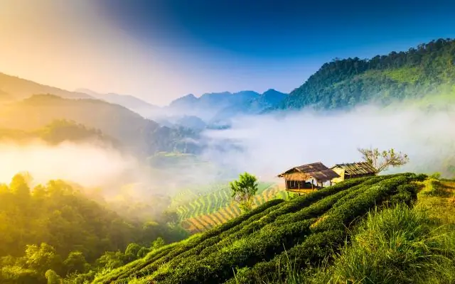 В чем смысл вратарской площади?