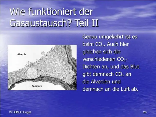 Как найти парциальное давление двух газов?